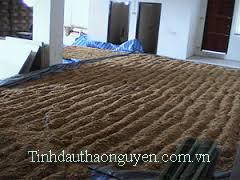 tinh dầu tr&agrave;m